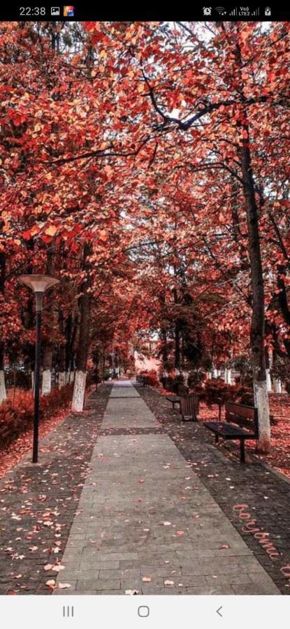 Gamsakhurdia Street *